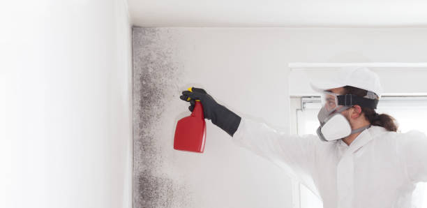 Best Mold Remediation for Specific Building Types in Aberdeen, WA
