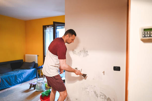Best Kitchen Mold Remediation in Aberdeen, WA